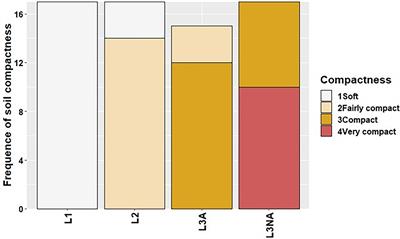 Effect of Organic Amendment on the Physicochemical Characteristics of Tailings Dam Soil and Root Development of Tree Species, Fifteen Years After Planting